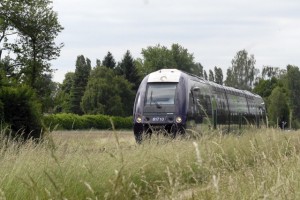 TER : Tains Express Régional Passage dun train en DOmbes